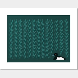 Tufted duck under the willows Posters and Art